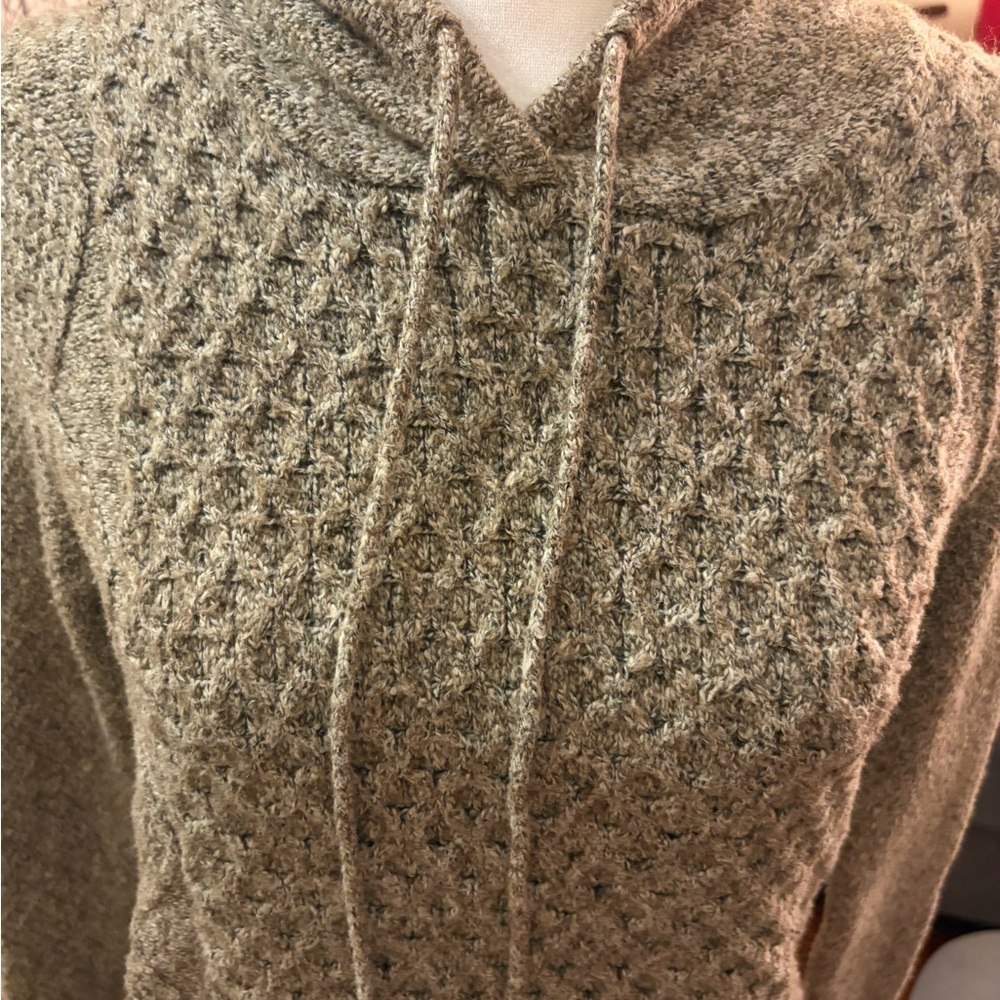 American Eagle Outfitters Hooded Pullover Sweater with drawstrings